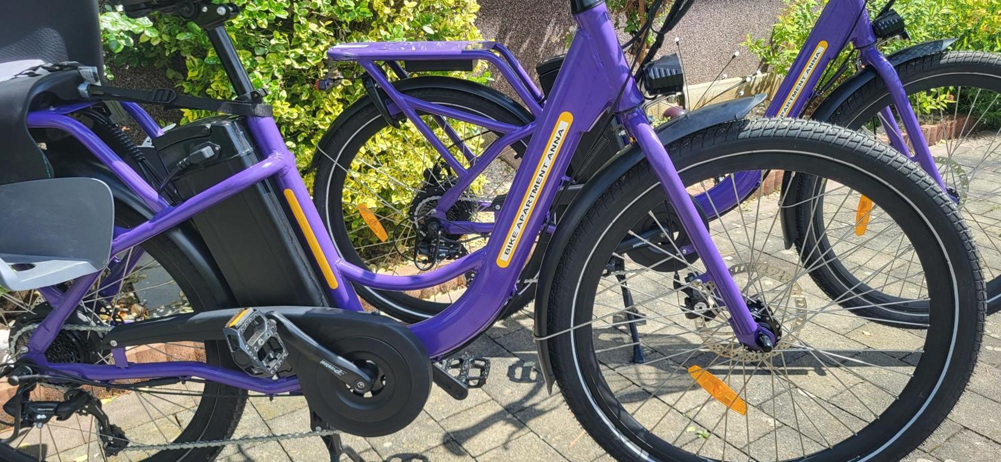 Zwei Schlafzimmer Ferienapartment Anna Am Stubenbergsee Inklusive Vier E-Bikes Dış mekan fotoğraf