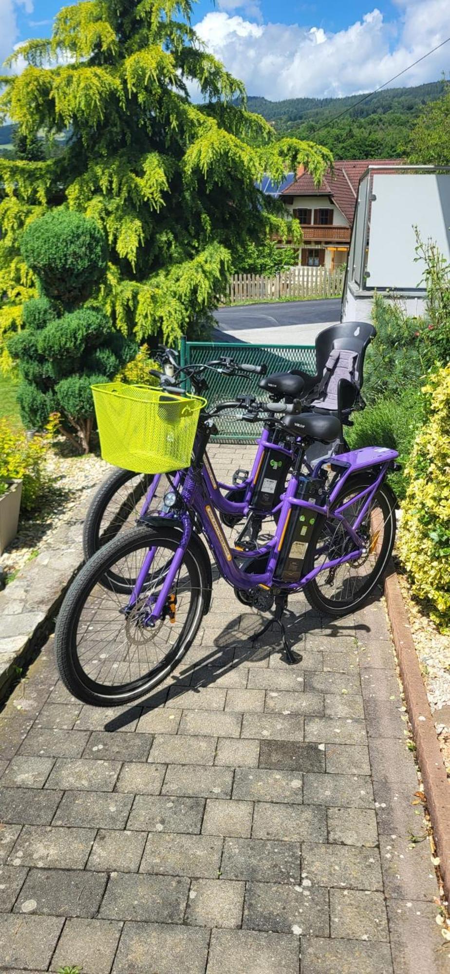 Zwei Schlafzimmer Ferienapartment Anna Am Stubenbergsee Inklusive Vier E-Bikes Dış mekan fotoğraf