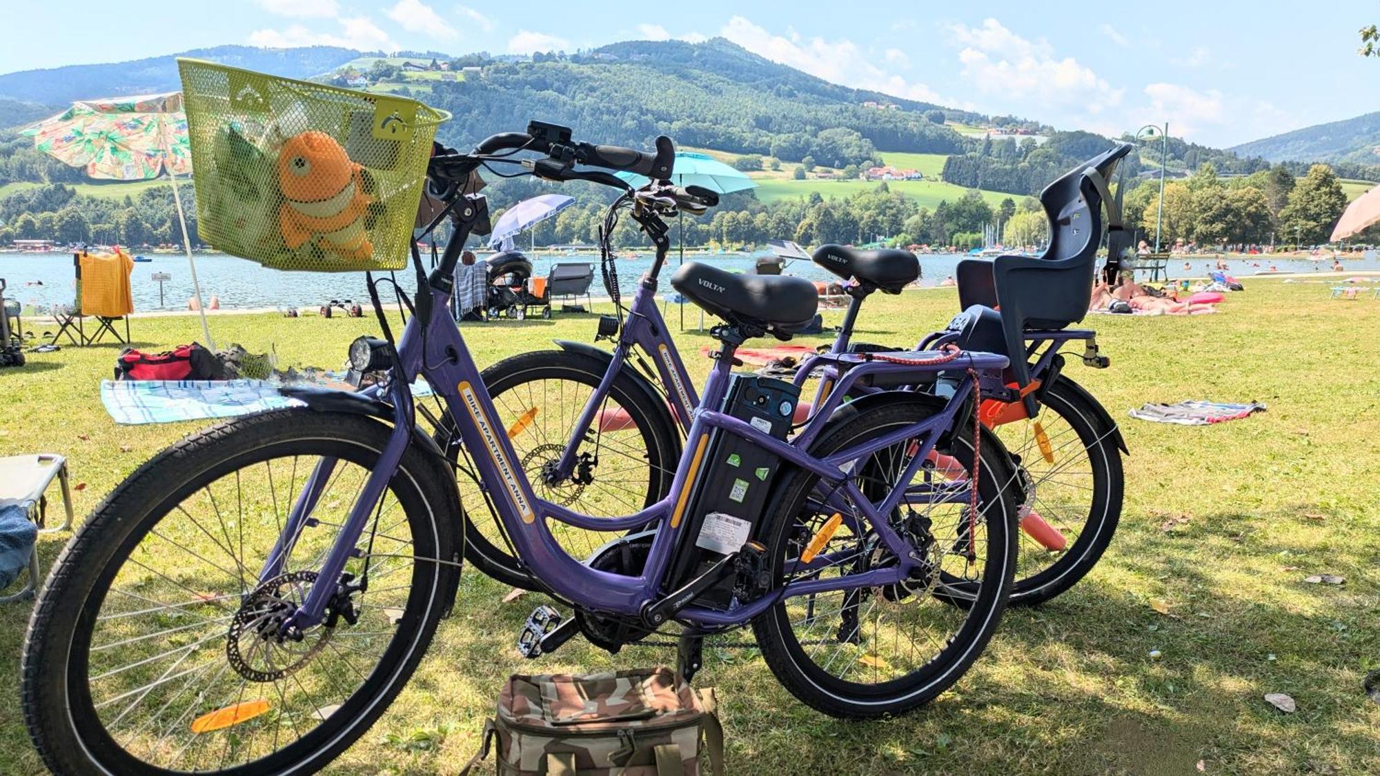 Zwei Schlafzimmer Ferienapartment Anna Am Stubenbergsee Inklusive Vier E-Bikes Dış mekan fotoğraf